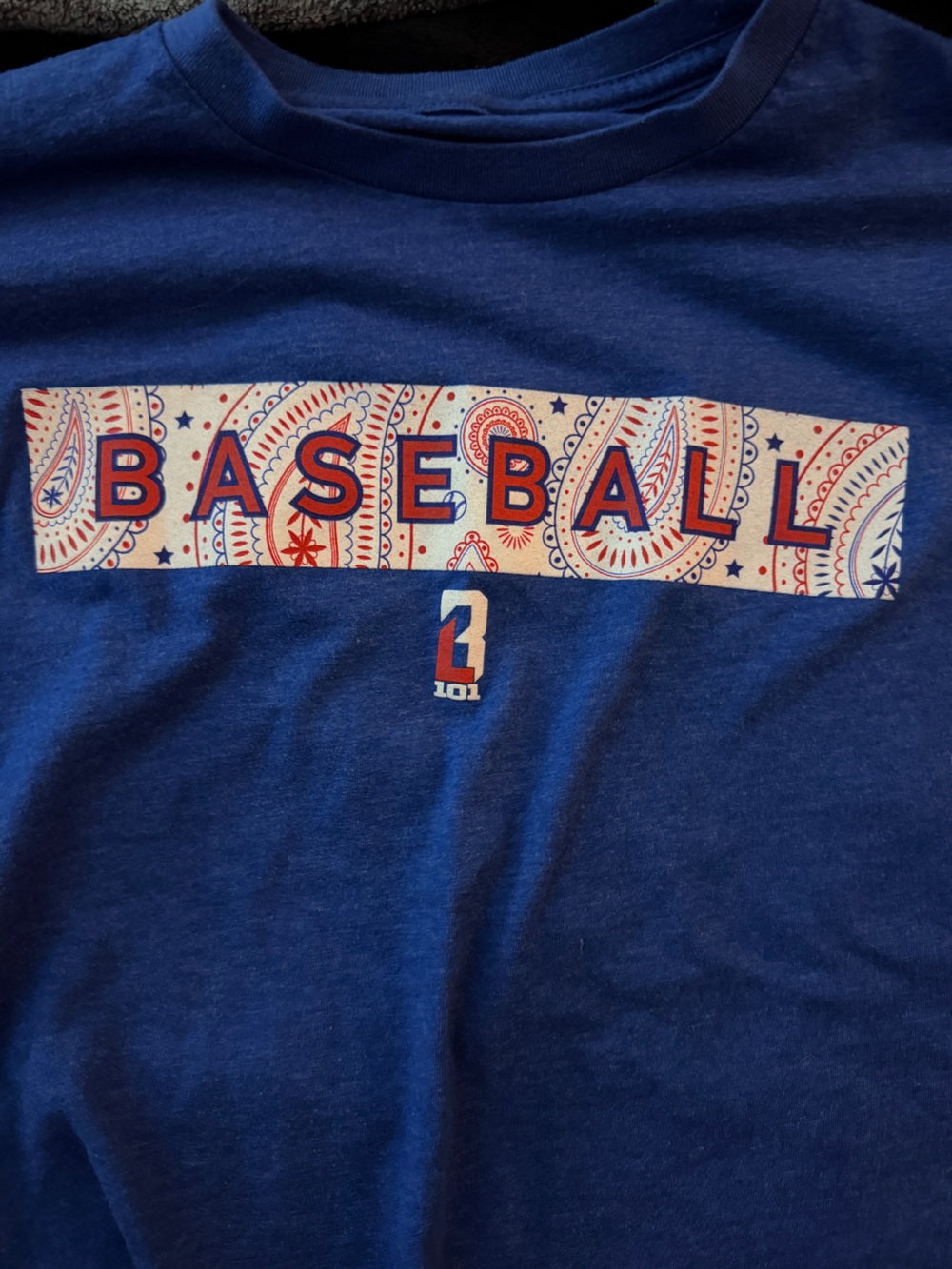 Youth Large Boys Baseball Lifestyle 101 Shirt